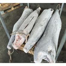 Seafood Wholesales Frozen Fish Striped Marlin HGT 30kg+